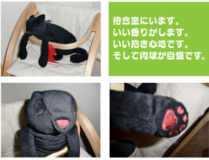 待合室にいます。いい香りがします。いい抱き心地です。そして肉球が自慢です。